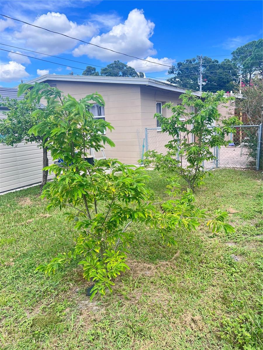 3612 71ST ST N, ST PETERSBURG, FL — photo 4