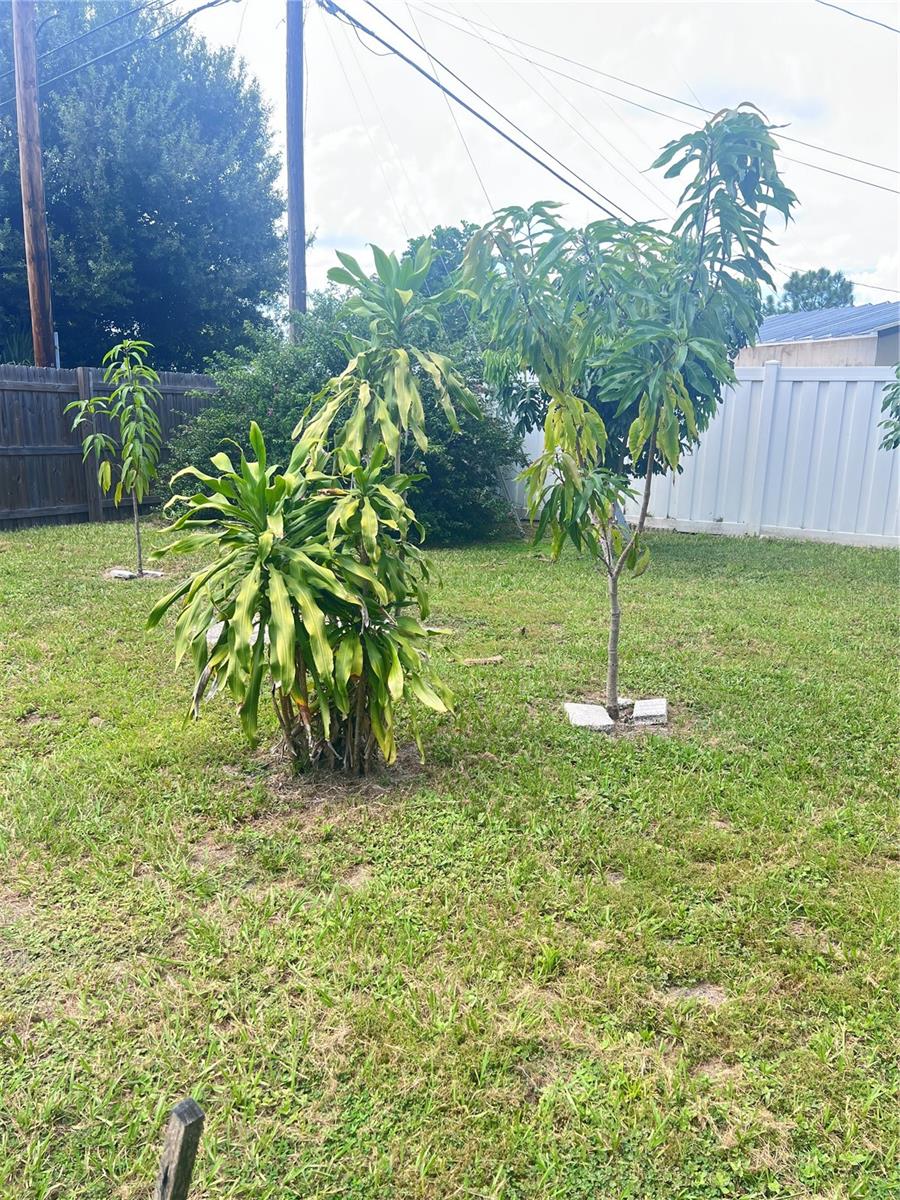 3612 71ST ST N, ST PETERSBURG, FL — photo 8