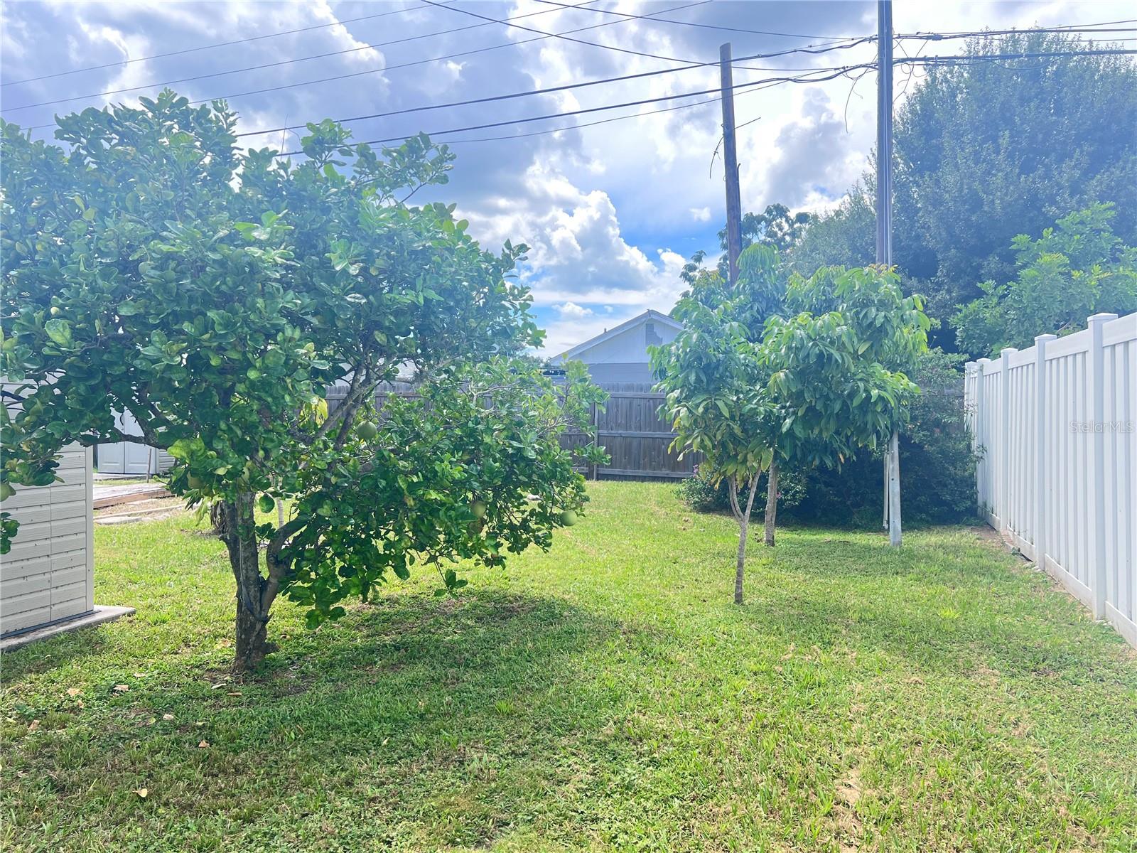 3612 71ST ST N, ST PETERSBURG, FL — photo 9