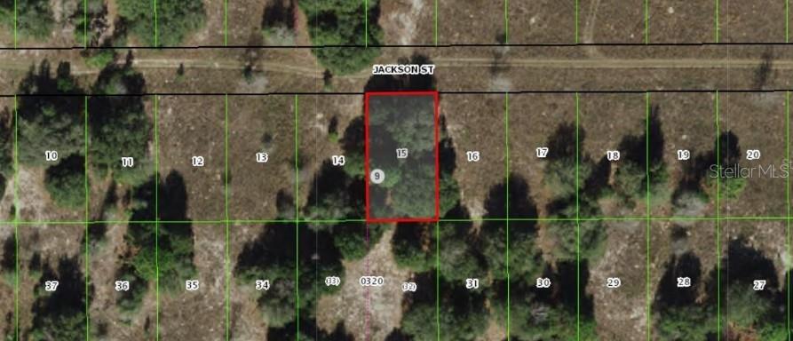 2403 JACKSON ST, INVERNESS, FL