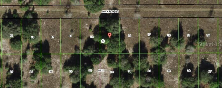 2403 JACKSON ST, INVERNESS, FL — photo 3