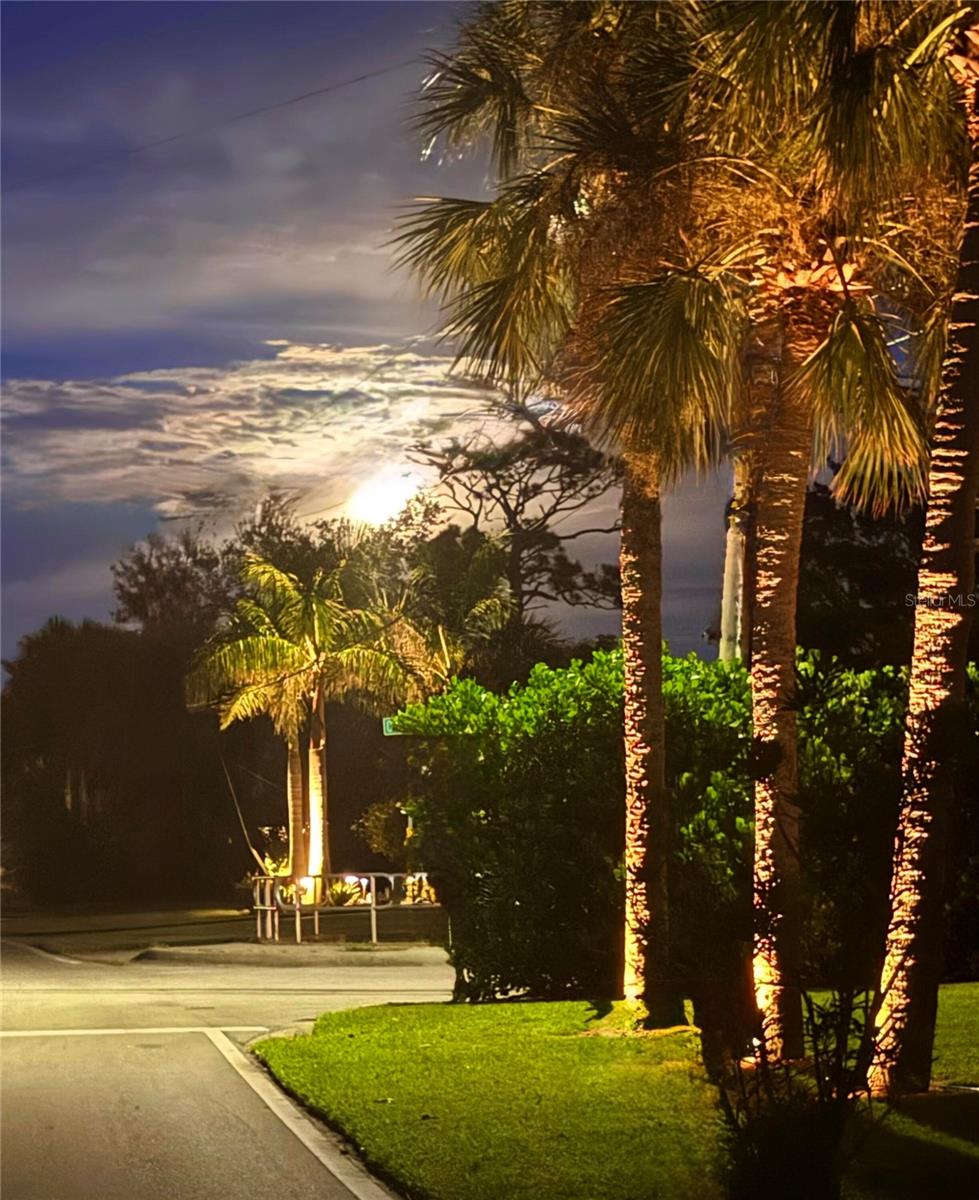 821 LAGUNA DR, VENICE, FL — photo 3
