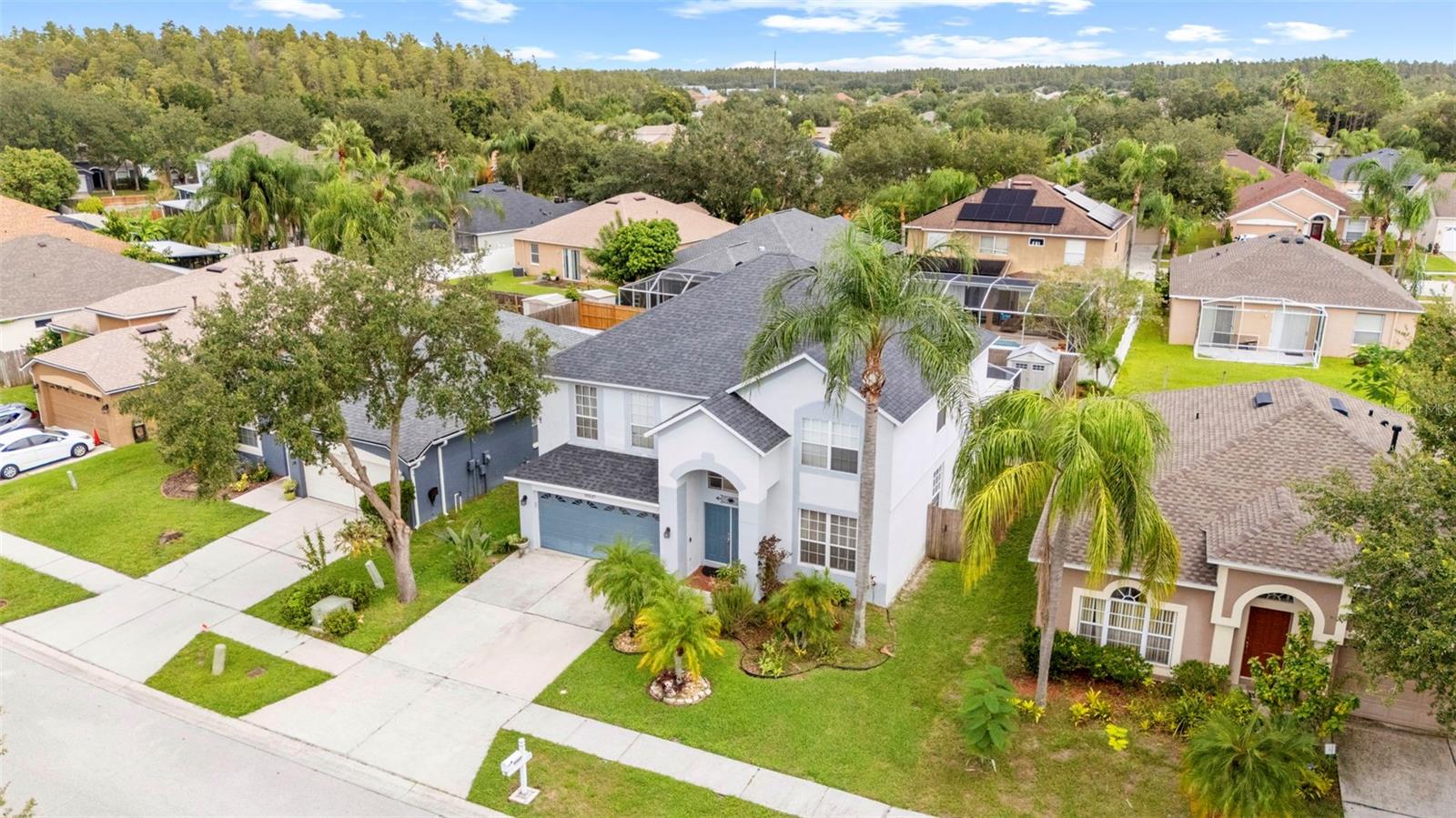 10237 GOLDENBROOK WAY, TAMPA, FL — photo 8