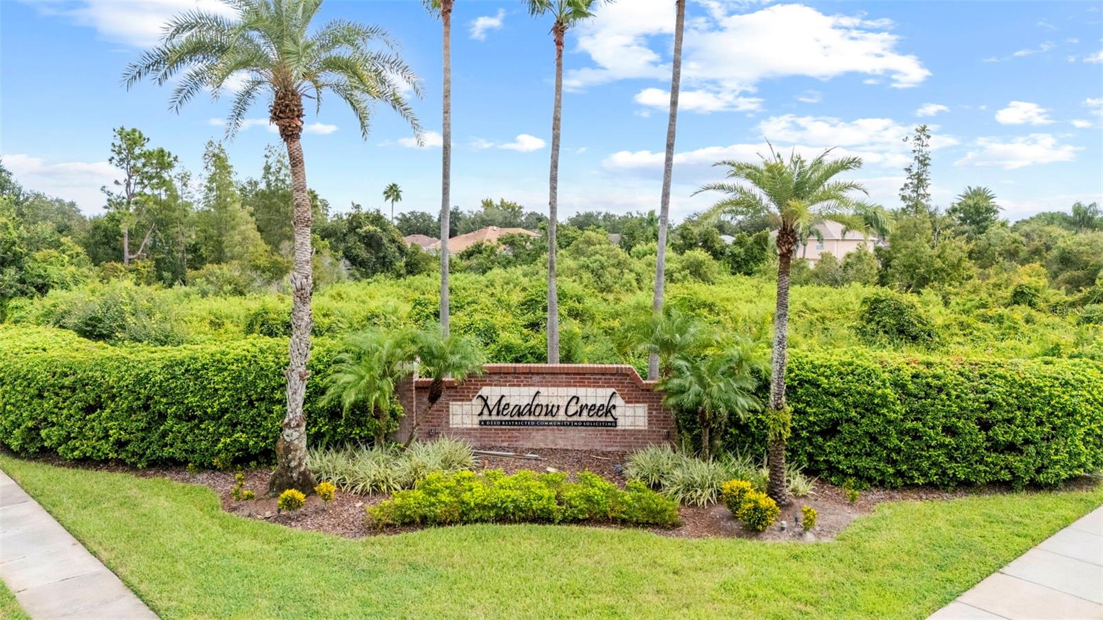 10237 GOLDENBROOK WAY, TAMPA, FL — photo 50