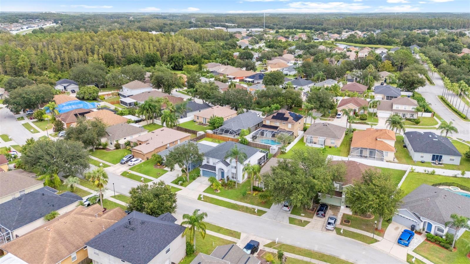 10237 GOLDENBROOK WAY, TAMPA, FL — photo 61