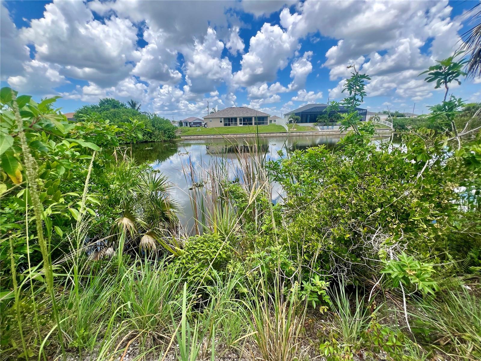 1423 NW 8TH TER, CAPE CORAL, FL