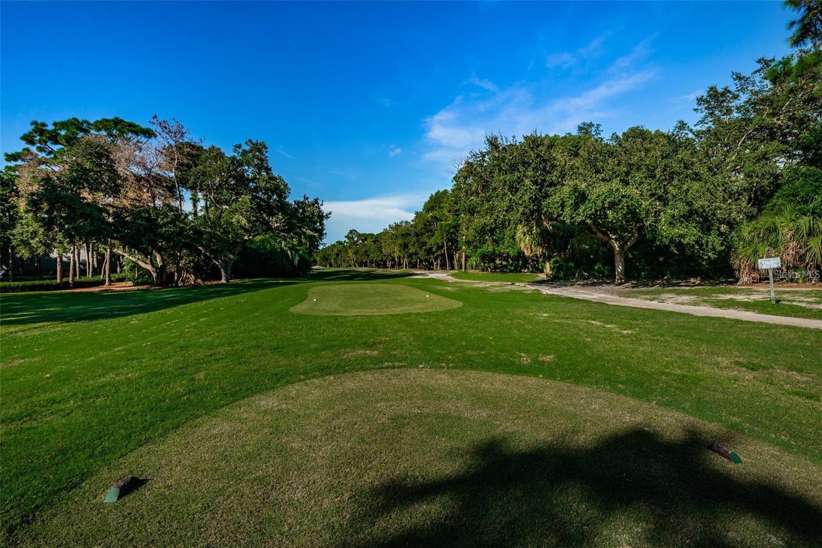 36750 US HIGHWAY 19 N #4-209, PALM HARBOR, FL — photo 41