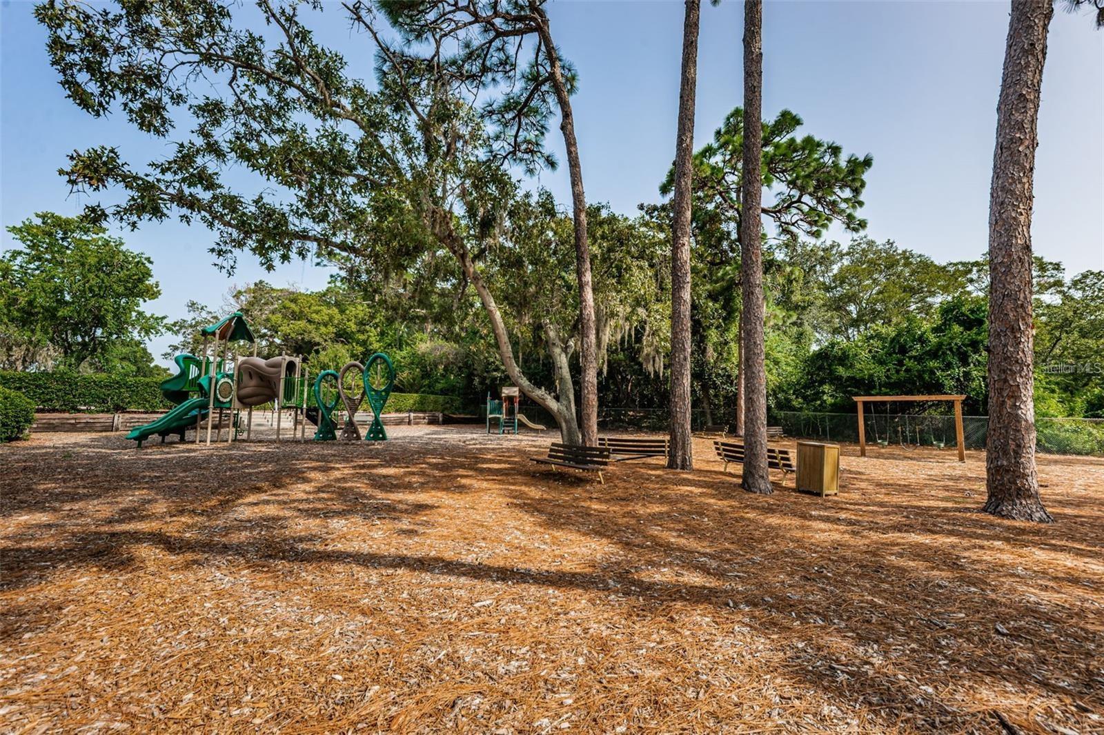 36750 US HIGHWAY 19 N #4-209, PALM HARBOR, FL — photo 49