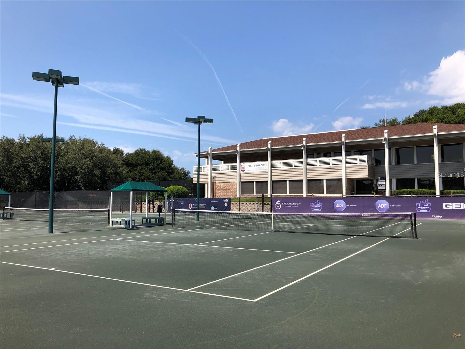 36750 US HIGHWAY 19 N #4-209, PALM HARBOR, FL — photo 50