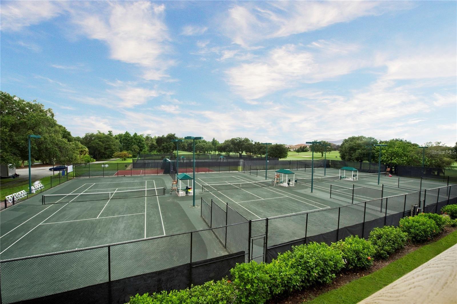 36750 US HIGHWAY 19 N #4-209, PALM HARBOR, FL — photo 51