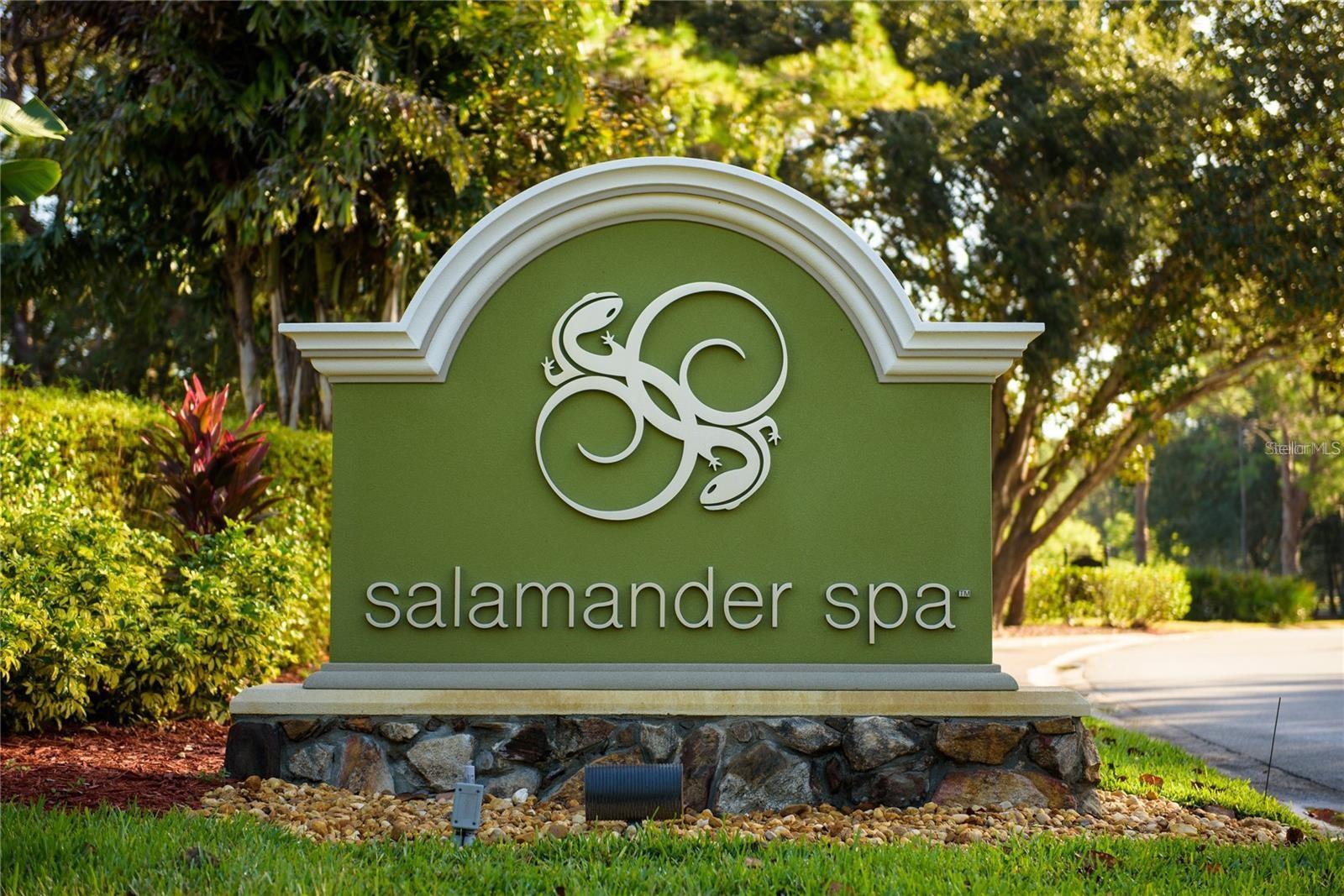 36750 US HIGHWAY 19 N #4-209, PALM HARBOR, FL — photo 58