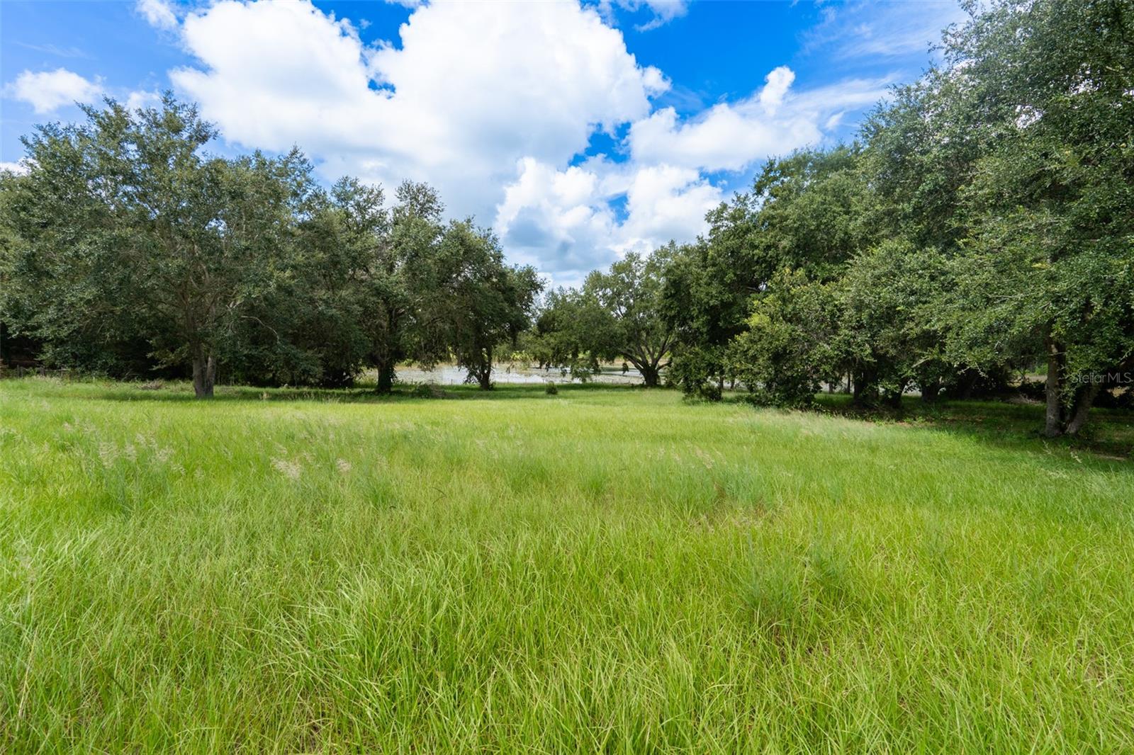 18301 S OBRIEN RD, GROVELAND, FL — photo 39