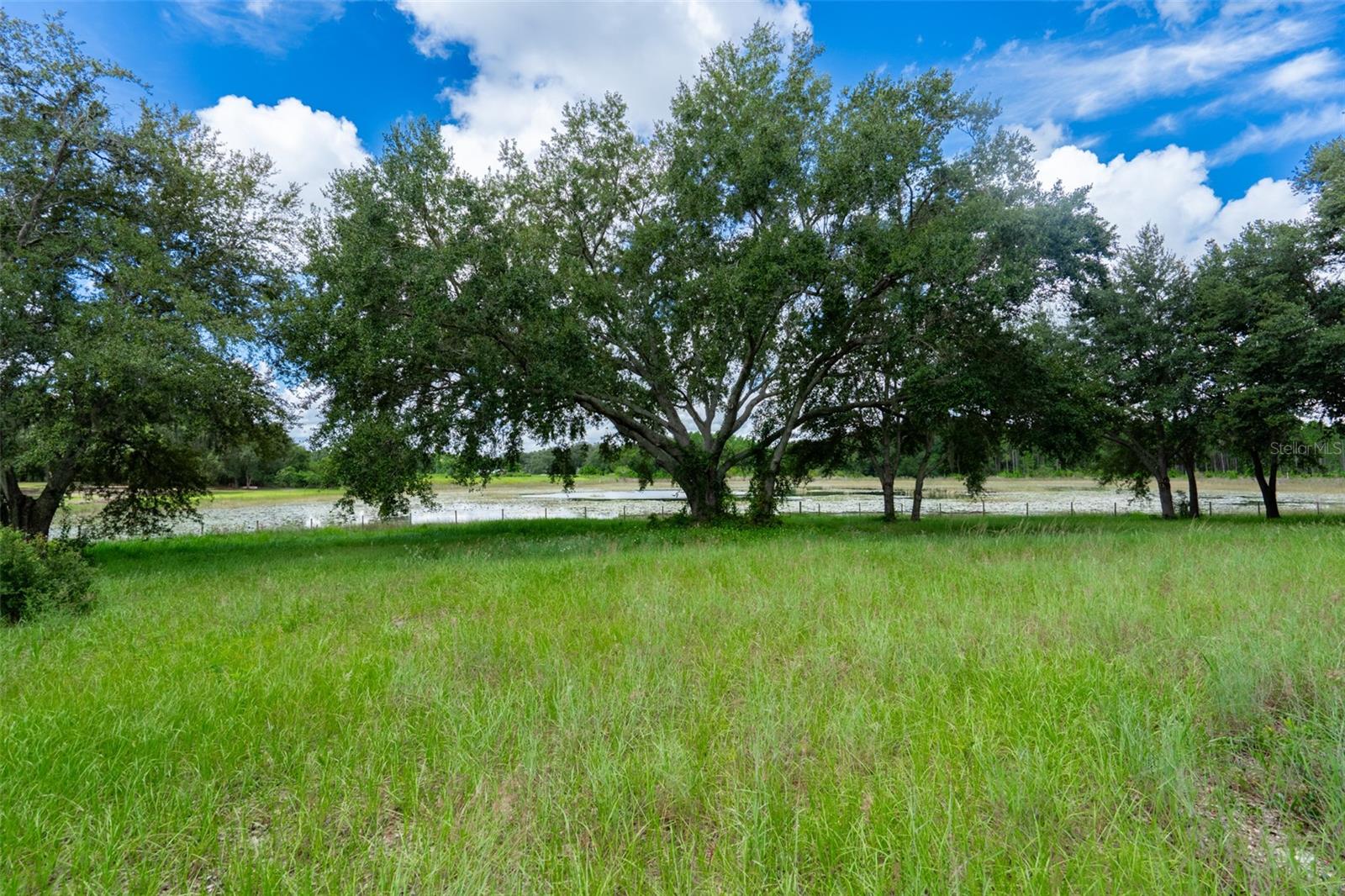 18301 S OBRIEN RD, GROVELAND, FL — photo 42