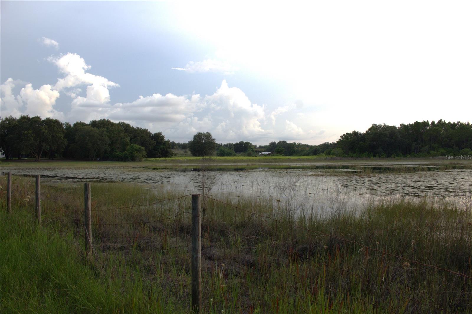 18301 S OBRIEN RD, GROVELAND, FL — photo 62
