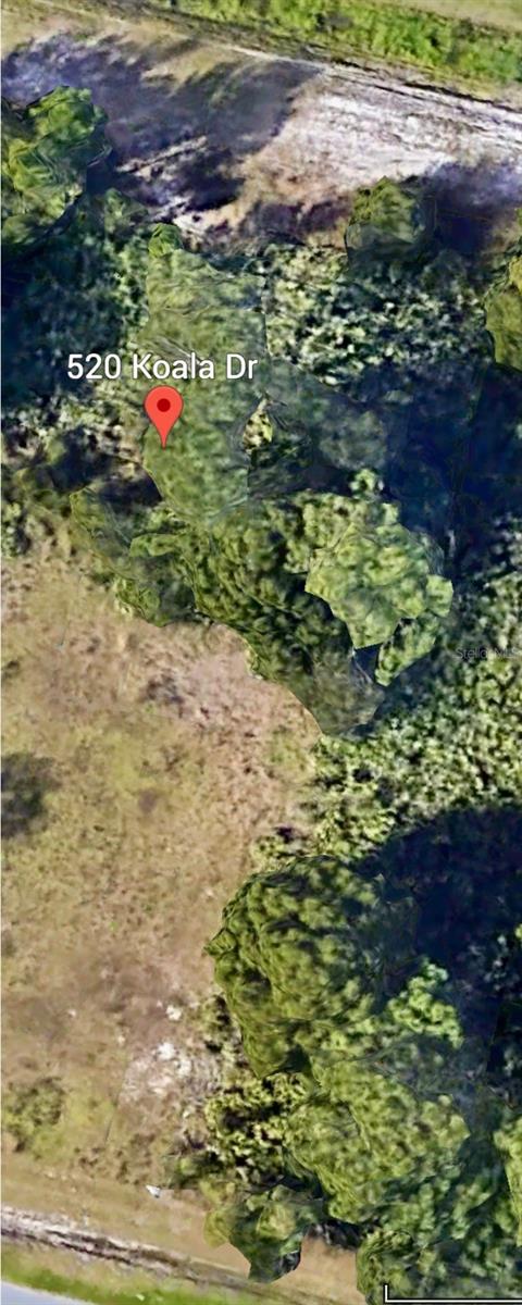 520 KOALA DR, KISSIMMEE, FL — photo 2