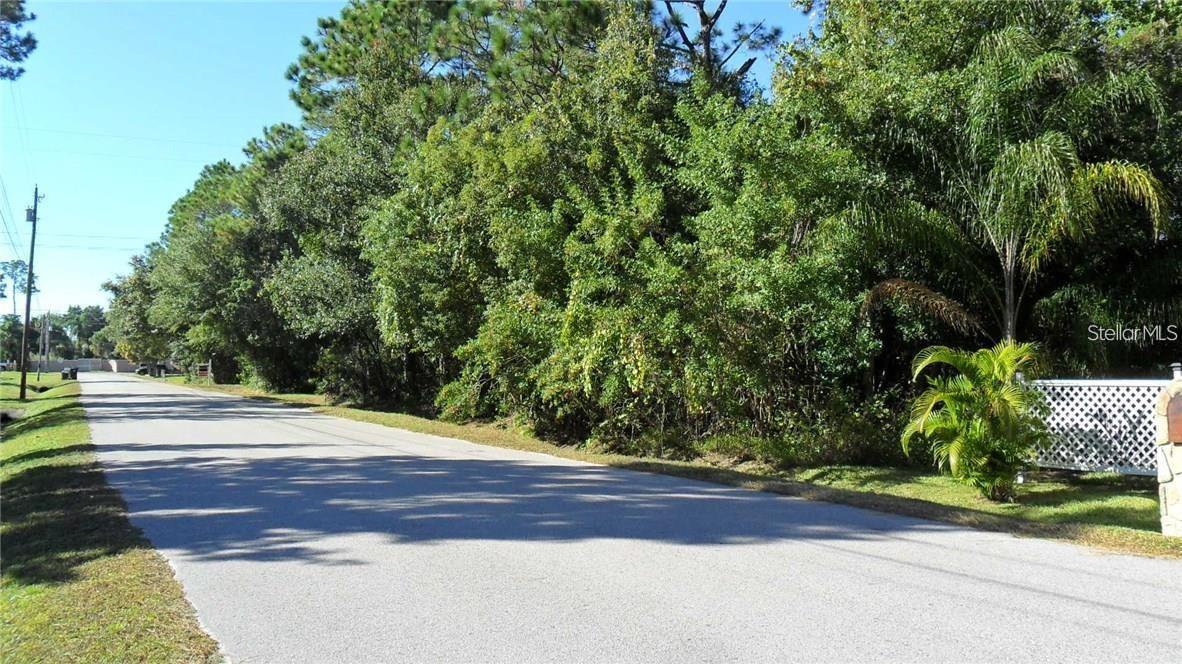 9049 FRYLAND RD, ORLANDO, FL — photo 3