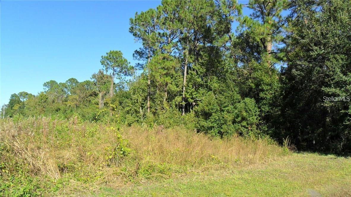 9049 FRYLAND RD, ORLANDO, FL — photo 5