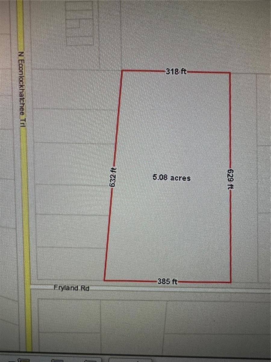 9049 FRYLAND RD, ORLANDO, FL — photo 10