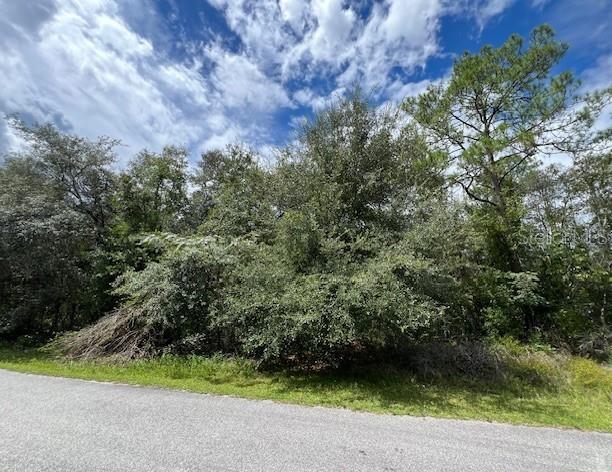 6252 N CAVALIER TER, CITRUS SPRINGS, FL