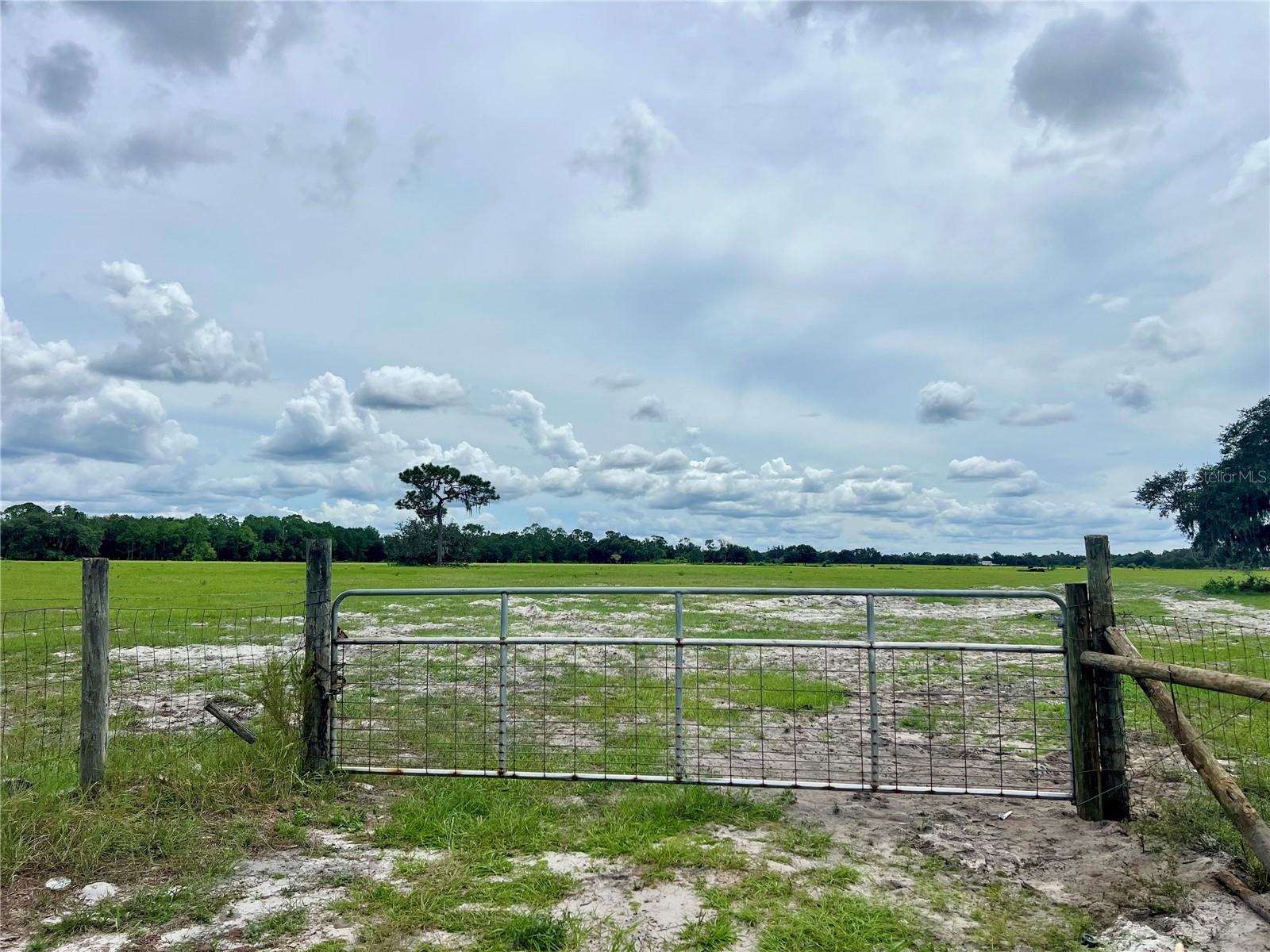 ALTURAS BABSON PARK CUT-OFF, BARTOW, FL — photo 3