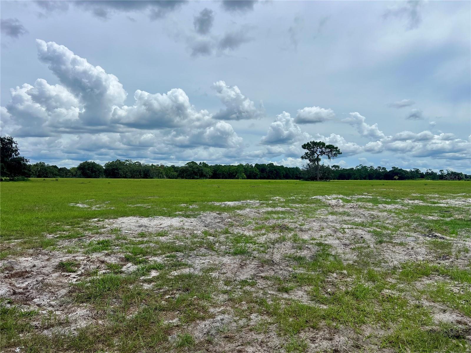 ALTURAS BABSON PARK CUT-OFF, BARTOW, FL — photo 6
