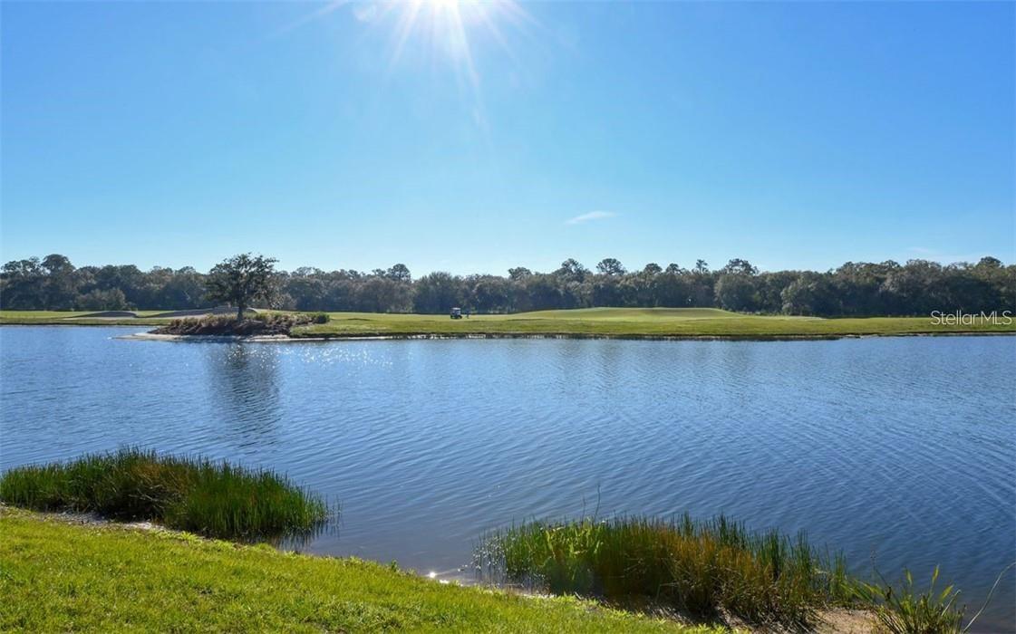 16904 VARDON TERRACE #201, LAKEWOOD RANCH, FL — photo 24