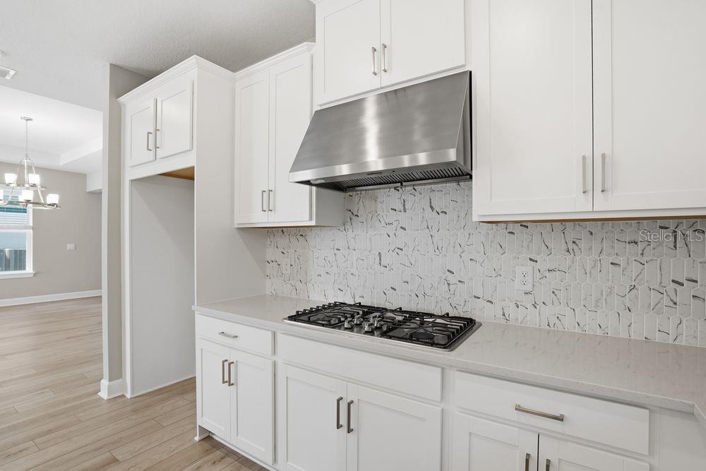 7727 CASPIAN ST, PALMETTO, FL — photo 5