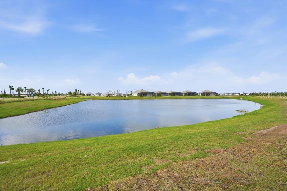 13705 IONA AVE, PALMETTO, FL — photo 34