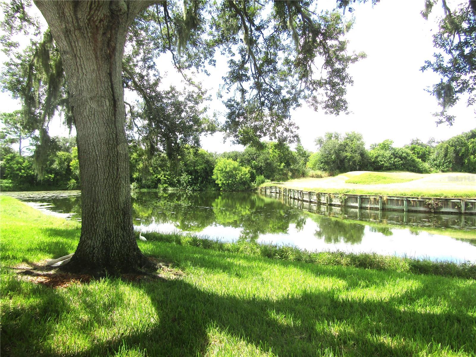3881 CHATSWORTH GREENE CT #20, SARASOTA, FL — photo 79