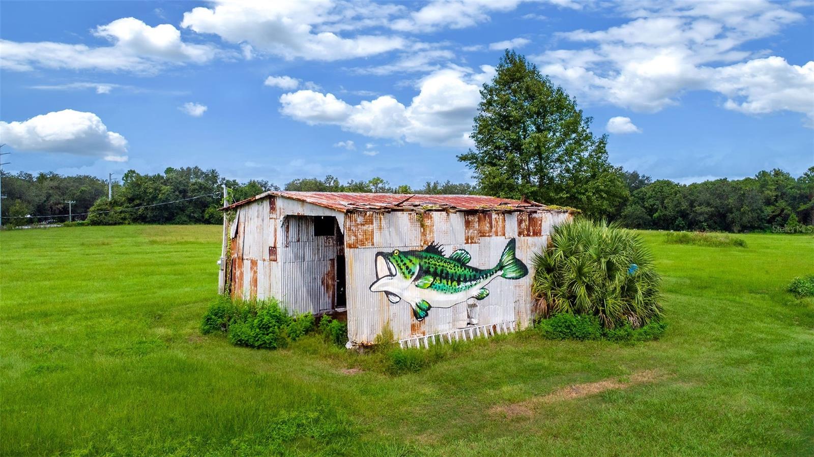 460 OLD HIGHWAY 17, CRESCENT CITY, FL — photo 19