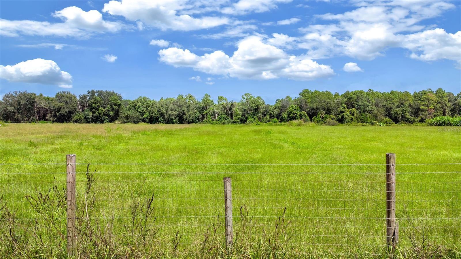 460 OLD HIGHWAY 17, CRESCENT CITY, FL — photo 25