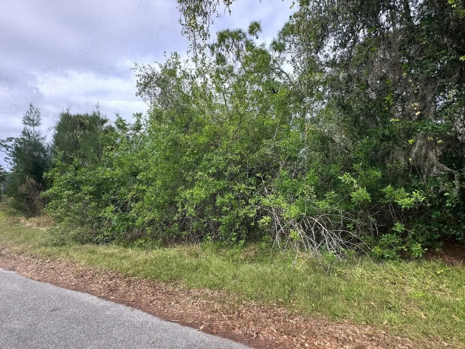 23350 BUCKNER AVE, PUNTA GORDA, FL — photo 1
