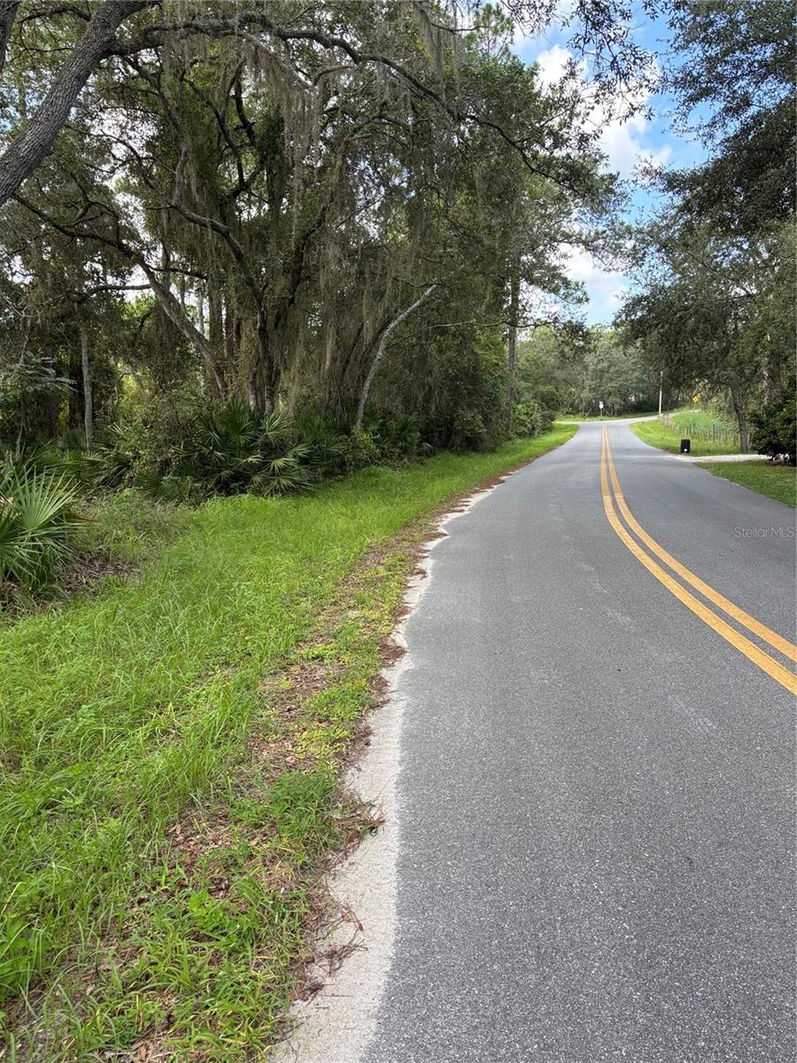 246 BROWNS HAMMOCK RD, CRESCENT CITY, FL