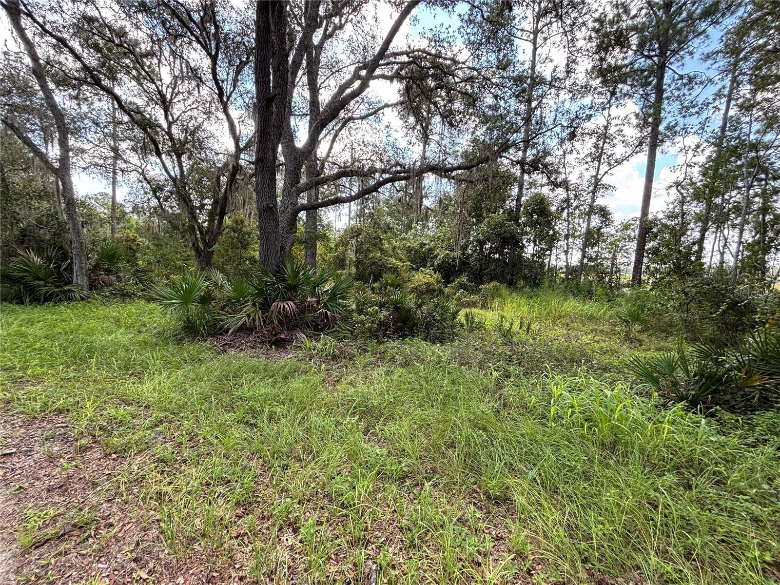 246 BROWNS HAMMOCK RD, CRESCENT CITY, FL — photo 3