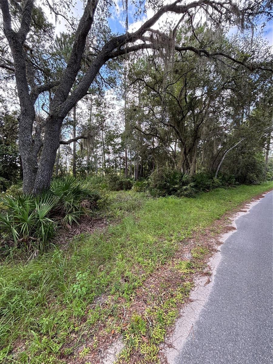 246 BROWNS HAMMOCK RD, CRESCENT CITY, FL — photo 5