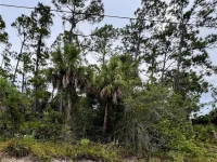 SADNET LN — photo 2