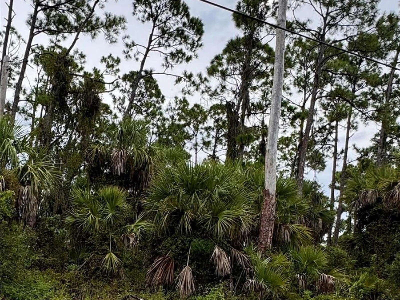 SADNET LN, NORTH PORT, FL — photo 6
