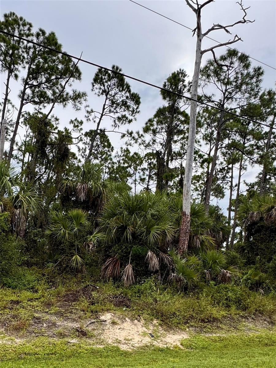 SADNET LN, NORTH PORT, FL — photo 5