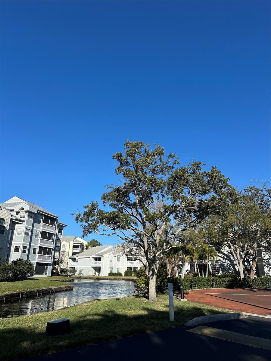 6810 STONES THROW CIR N #13203, ST PETERSBURG, FL — photo 47