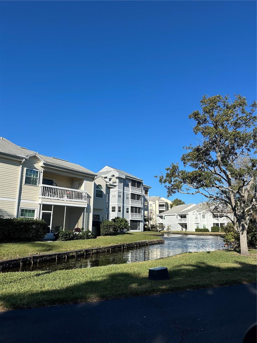 6810 STONES THROW CIR N #13203, ST PETERSBURG, FL — photo 49