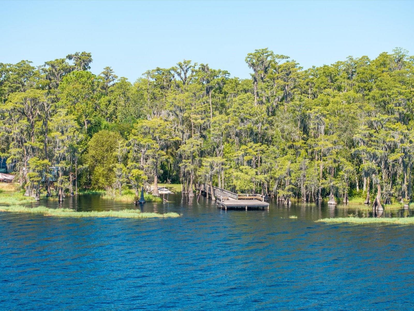 11519 GRAND BAY BLVD, CLERMONT, FL — photo 84