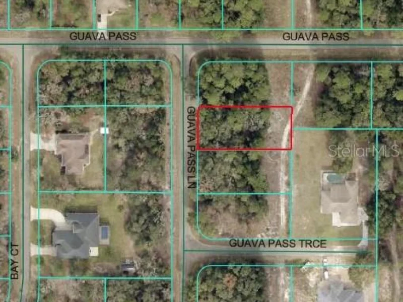 GUAVA PASS LN, OCKLAWAHA, FL