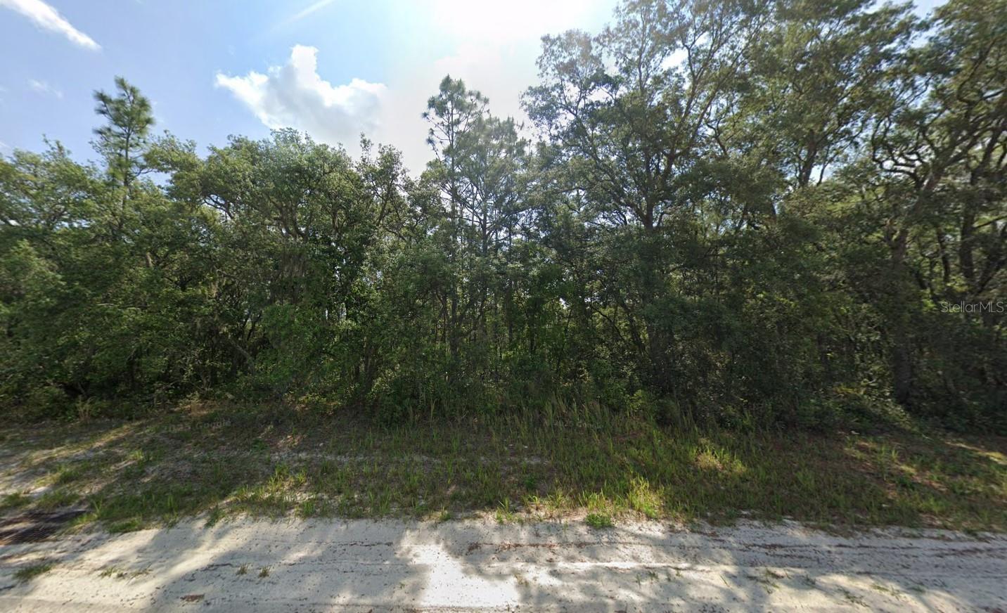 TBD SW 146TH LANE RD, DUNNELLON, FL — photo 18