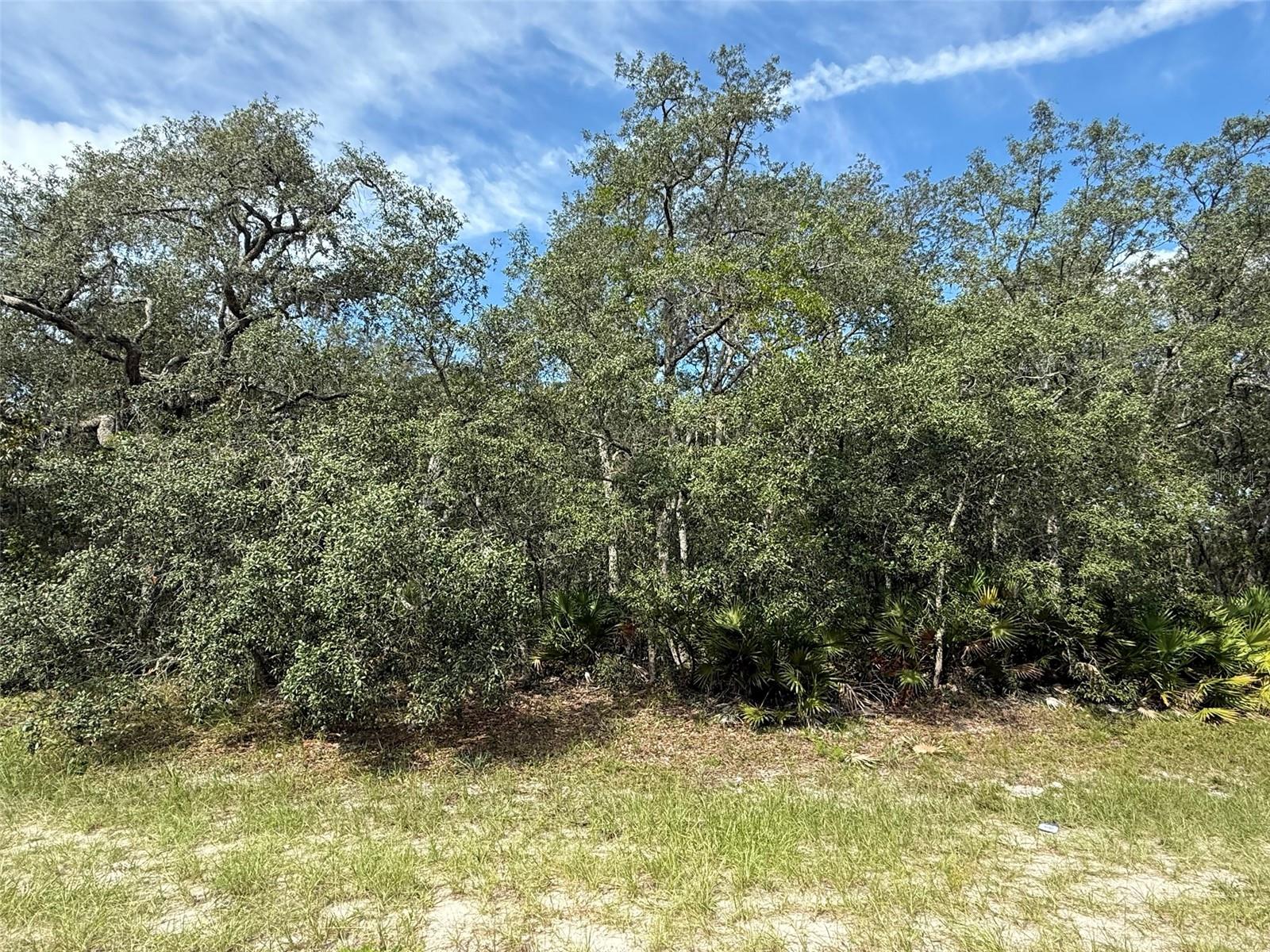 TBD SW 146TH LANE RD, DUNNELLON, FL — photo 12