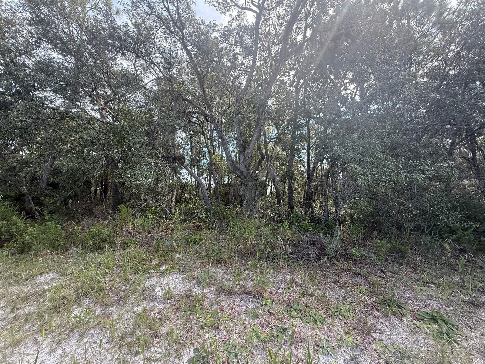 TBD SW 146TH LANE RD, DUNNELLON, FL — photo 17