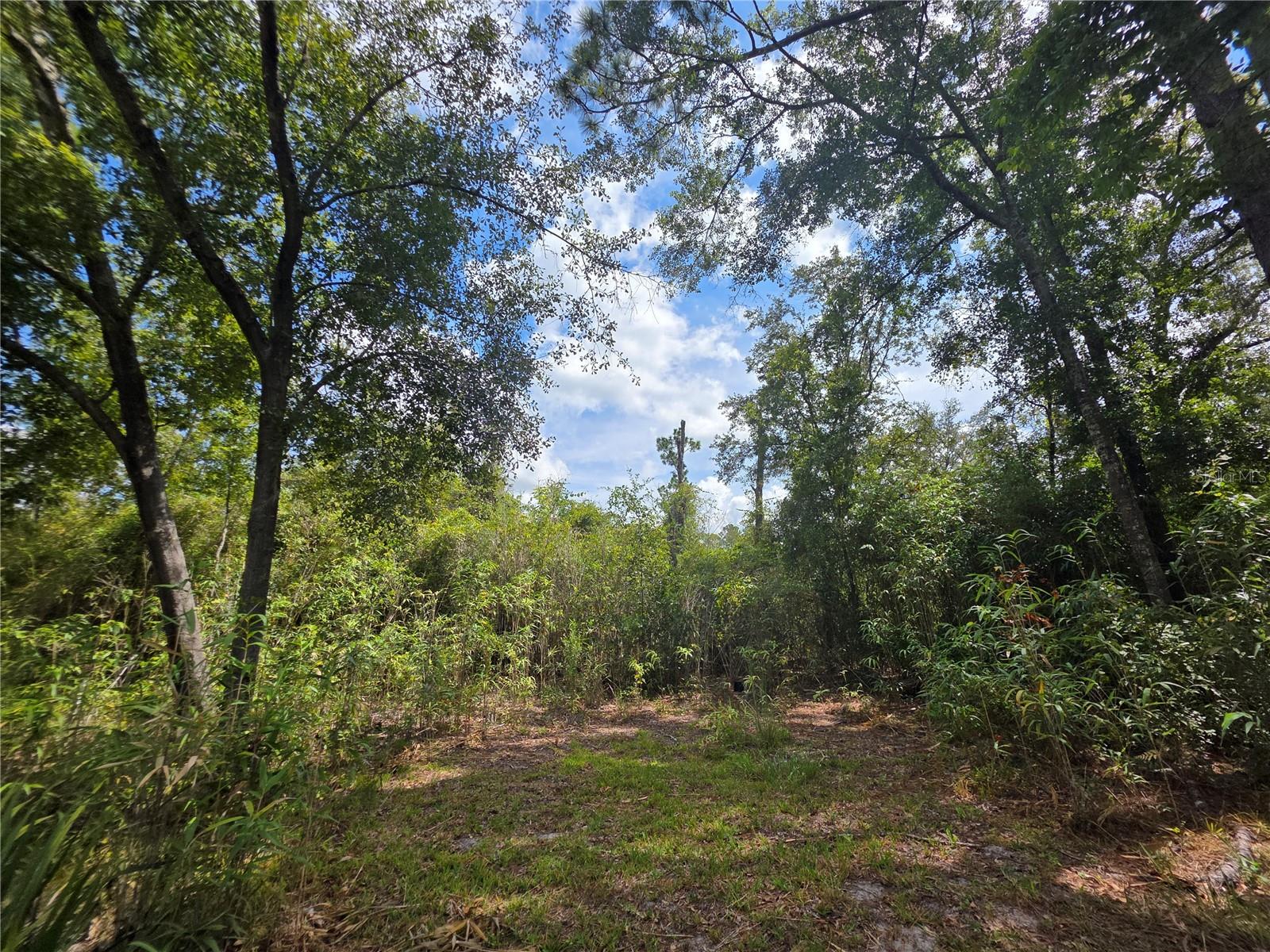 13117 N COUNTY ROAD 225, GAINESVILLE, FL — photo 15