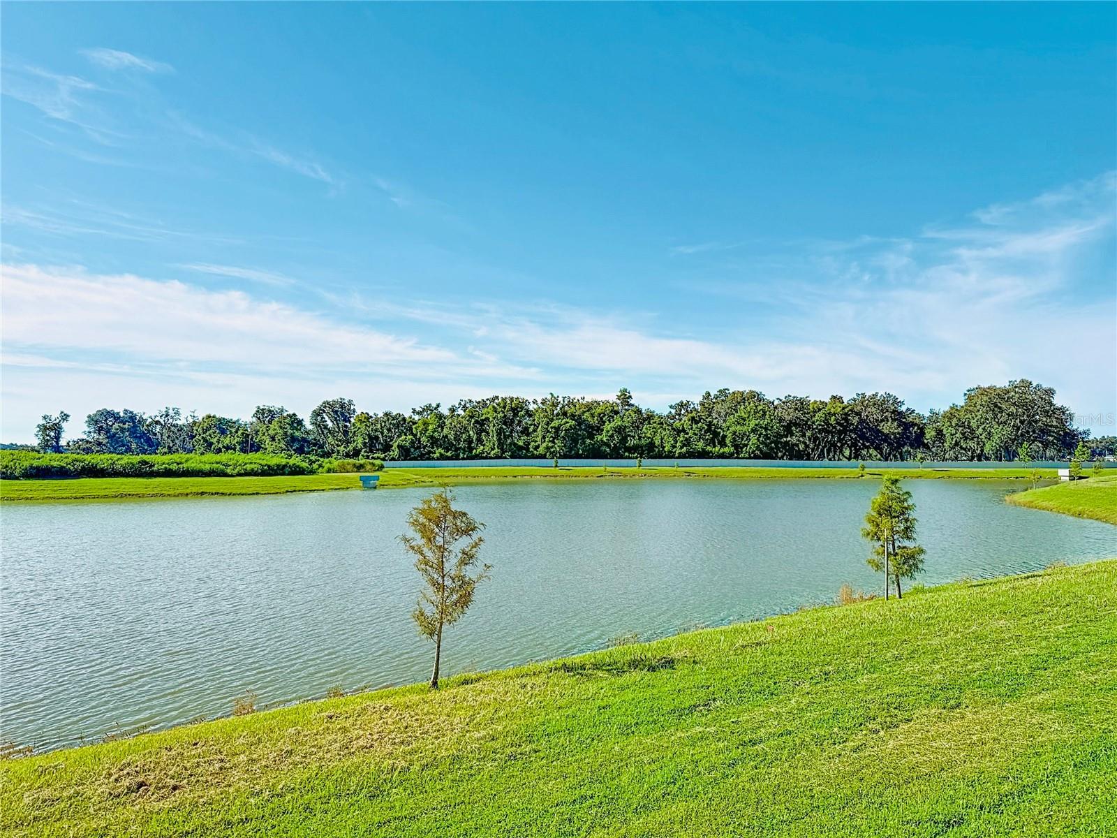 2960 AUTUMN ROCK DR, ZEPHYRHILLS, FL — photo 42