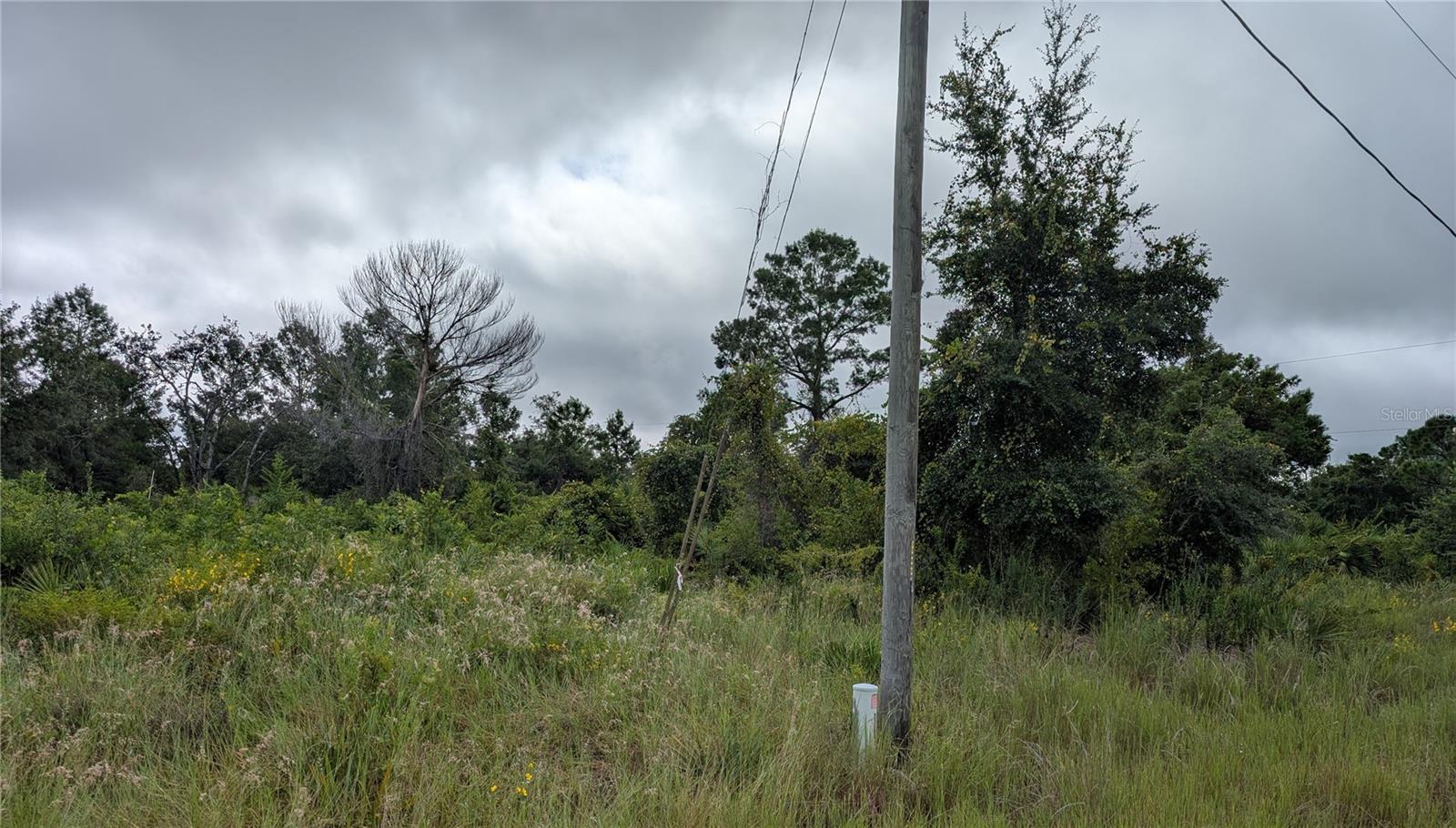 109 FALCON CT NW, LAKE PLACID, FL — photo 3