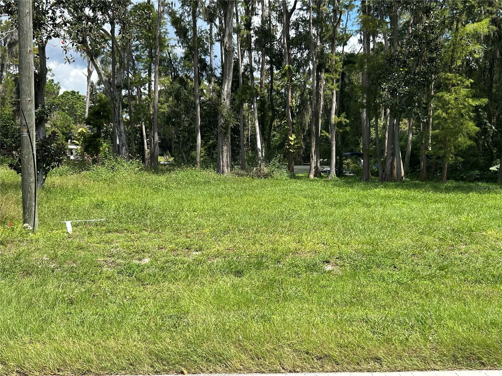 12629 LACEY DR, NEW PORT RICHEY, FL — photo 2