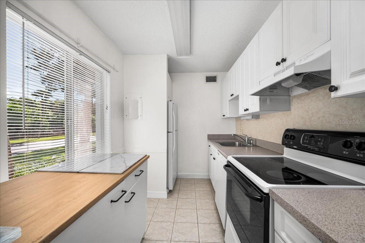 11401 3RD ST N #2, ST PETERSBURG, FL — photo 9